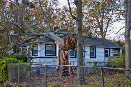 Stock photo of a building with a tree that fell on it