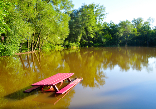 Photo of a flooded park